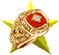 ALL STAR