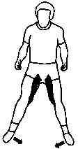 tensionar2.jpg (3649 bytes)