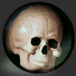 SKULL BALL