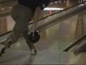 http://www.bowling-info.com/../Release4.jpg